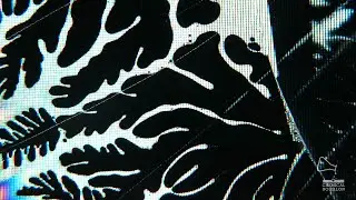 Broken Screen Monitor  - TV Frozen Effect Cracked video - Macro Pixel Dendrite
