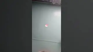 9 августа 2024 г.