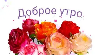 Доброе утро 🤗🐱❤️