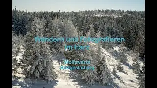 Landschaftsfotografie im Harz: Wolfswarte - Bildgestaltung