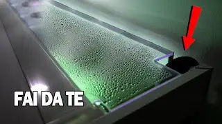 Modifica coperchio Emotions (adattamento per filtro esterno)