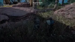 Assasins Creed. ДИЧЬ НАМБЕР 1