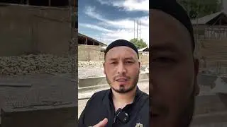 Kolonna, rigel, poydevor quyish narxlari