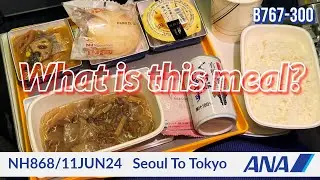 ✈️ Allergen Free Meal｜ANA｜B763｜Seoul to Tokyo｜NH868