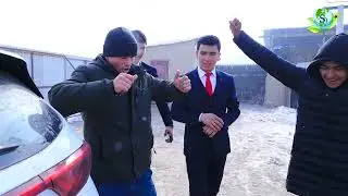 ТУЙ ГУЛИСТОН 2023.г
