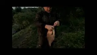 Свирский лещ