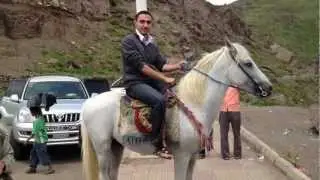 Yemen Life - Fighting over Horses اليمن - اب Ibb