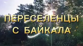 Вернулись из Краснодара!!! Куры, гуси, утки съели огород🤭