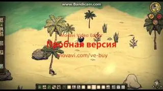 играем в донстарв