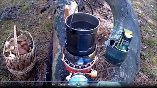 ПОХОД В ЛЕС. Обед в сосновом бору. Собрали два ведра грибов в ноябре! Беларусь 2023.