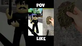 #POV
