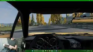 Steering Wheel Test