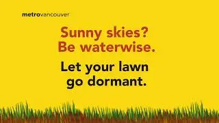 Sunny Skies? Be Waterwise — Water Conservation