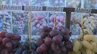 Праздничная ярмарка в Луганске