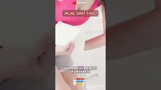 Mengapa Mual Saat Menstruasi ? Penjelasan Ilmiahnya