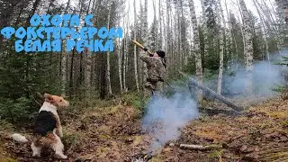 Охота с Фокстерьером на боровую дичь в Манской тайге. Красноярский край, Восточный Саян. 11.10.2022