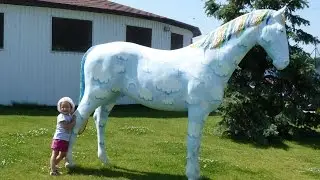 Занятие конным спортом Equestrian sports