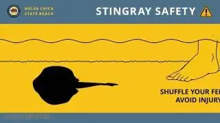 [DEMO] California State Parks | Bolsa Chica State Beach | Stingray Safety