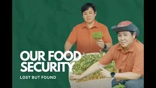 Can You Forage for Food in Singapore? | Lost But Found #02