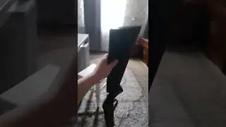 15 июня 2024 г.
