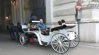 Street Performance, Vienna, Austria