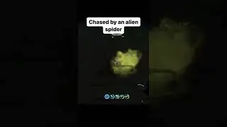 Chased by an alien spider 