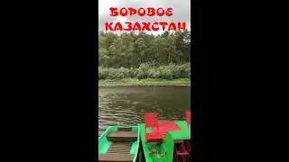 БОРОВОЕ.  КРАСОТА.    2023г