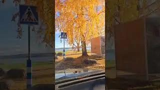 Summer is gone, autumn is here ☀️🍂🍃🍁🌾
