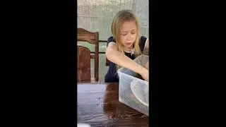 Новые ПИТОМЦЫ !!!