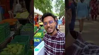 Mango mela for mango lovers, till June 10,2024