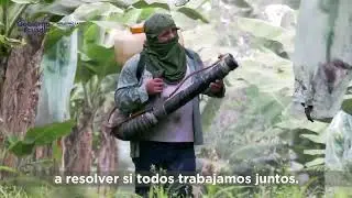 1er Conversatorio Científico Internacional sobre Fusarium R4T en el Ecuador