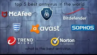 Top 5 Best FREE ANTIVIRUS Software