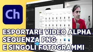 Adobe Character Animator | Come esportare Video Alpha, Sequenza PNG, Singolo Fotogramma | Lez. 92
