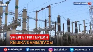 Энергетиктердин кышка камылгасы