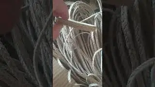 Untitled video