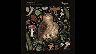 Maxxim, flanerr   Moments of Wonder (Songuara 2024)