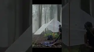 Solo Survival Camping in the Wilderness 🌲🔥  #shorts  #solo #camp  #bushcraft #survivalskills