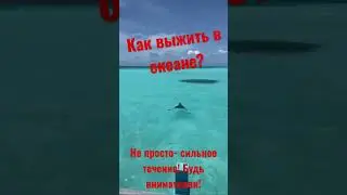 Спасение шляпы переросло в спасение человека! Индийский океан -ловушка для туристов!