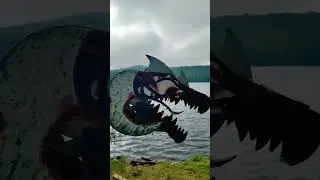 Noctis and Soul Seekers average day: #dragonpuppets #paperdragons #dragon #fyp