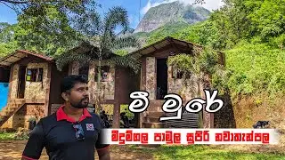 දුම්බර මිටියාවතේ සුන්දර ගම්මානයේ මීදුම්ගල පාමුල සොදුරු නවාතැන | meemure | my holiday | lak tv