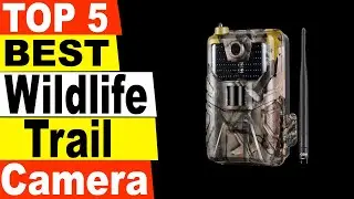 TOP 5 Best Wildlife Trail Camera Review 2021