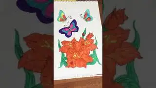 Бабочки 🦋