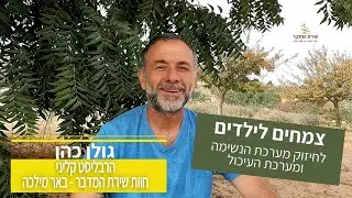 צמחים לילדים לחיזוק מערכות הנשימה והעיכול