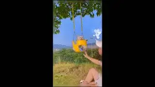 Funny and Cute Cat & Dog Videos Compilation