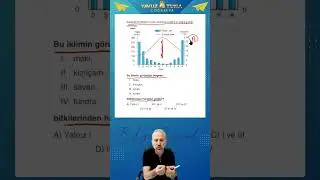 TYT 2024 TAM İSABET 