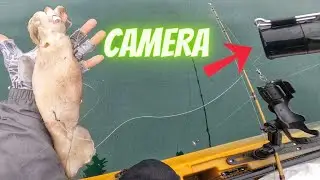 I Used This BIG SQUID as Bait.  We Can See What Happens.