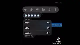 POV: discord mod gets a discord kitten