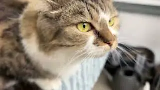 ВСЕМ СЧАСТЛИВОЙ ОСЕНИ! Мои покупочки. Осенний парк! ЯНИКА -красотка))