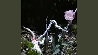 where Do I go if I Denied the Sky?