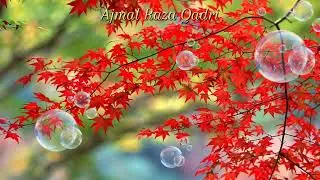 Milad Nabi SAW by Ajmal Raza Qadri .میلاد کس کو منانا چاہیے